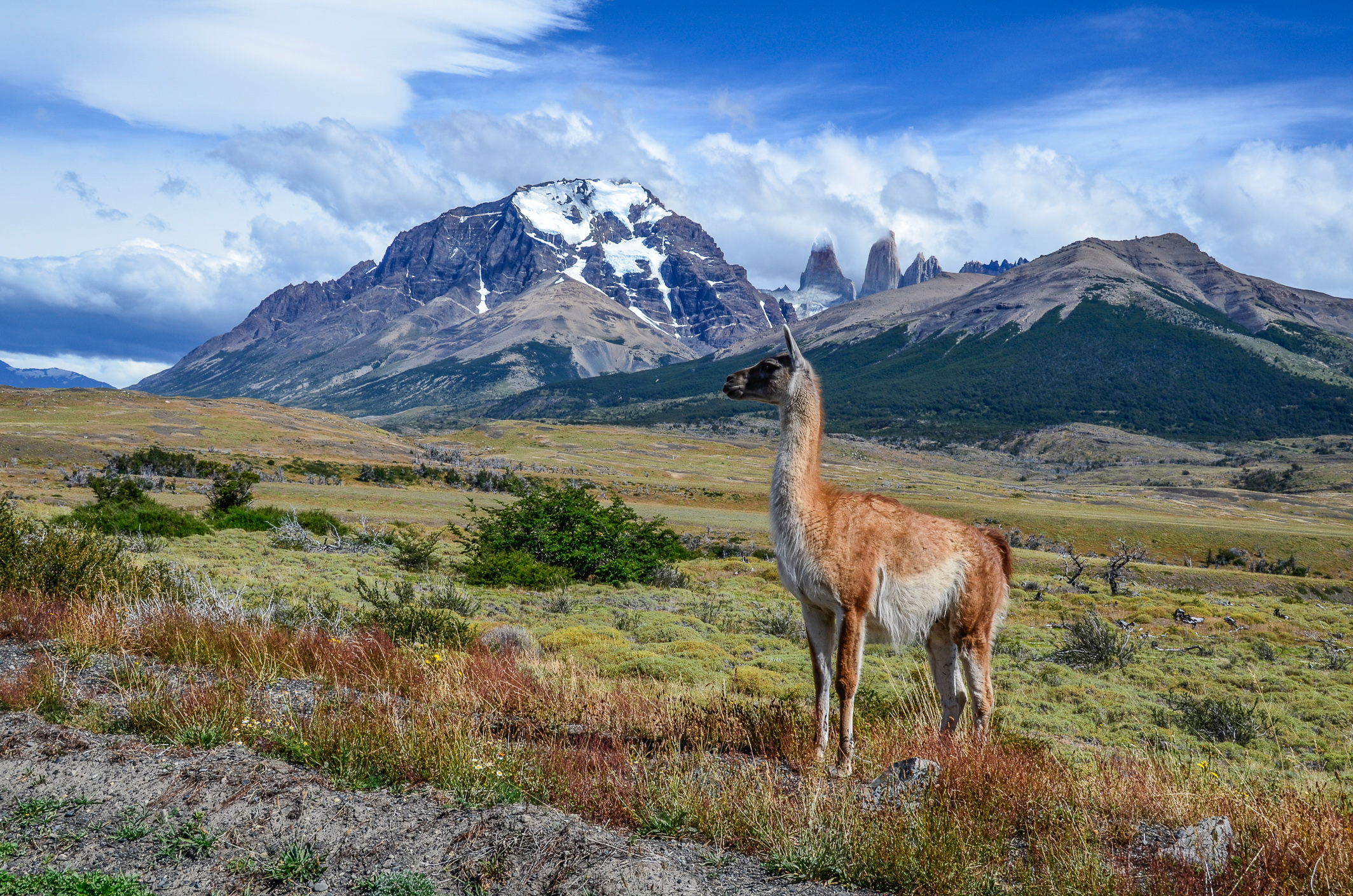 Chile